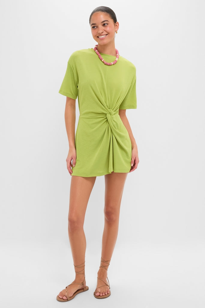 Apple Carrey Mini Dress