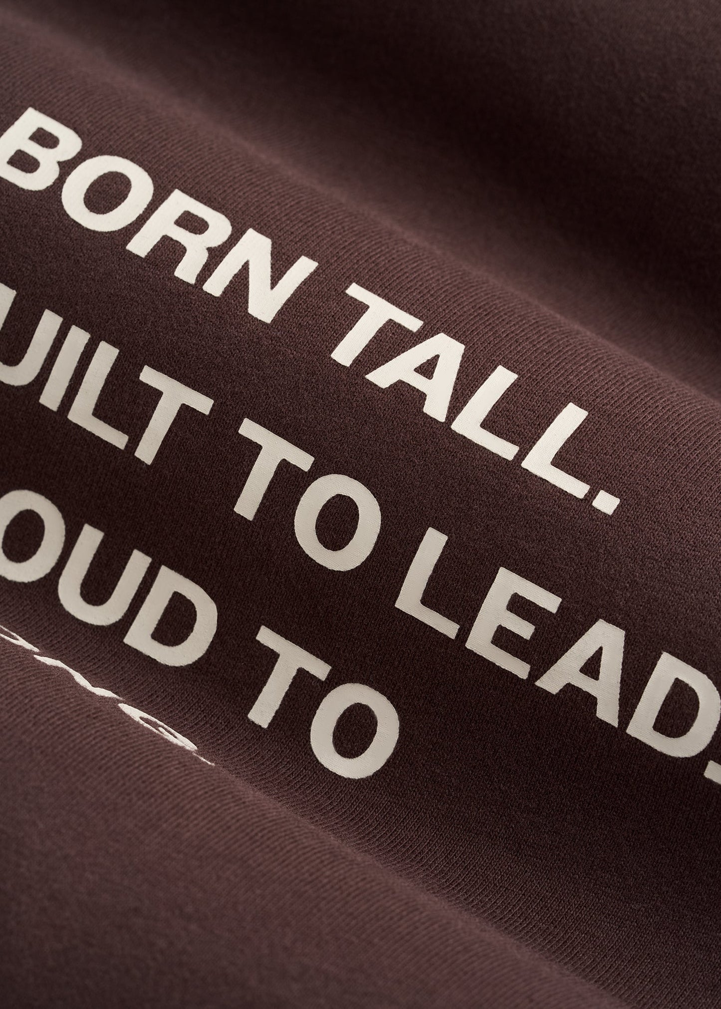 Mission Graphic Tee for Tall Men in Brown