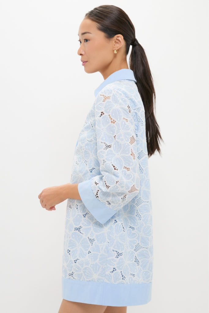 Blue Floral Lace Collier Dress