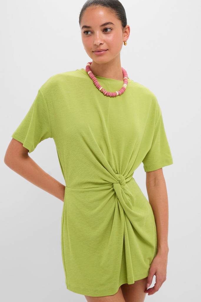 Apple Carrey Mini Dress