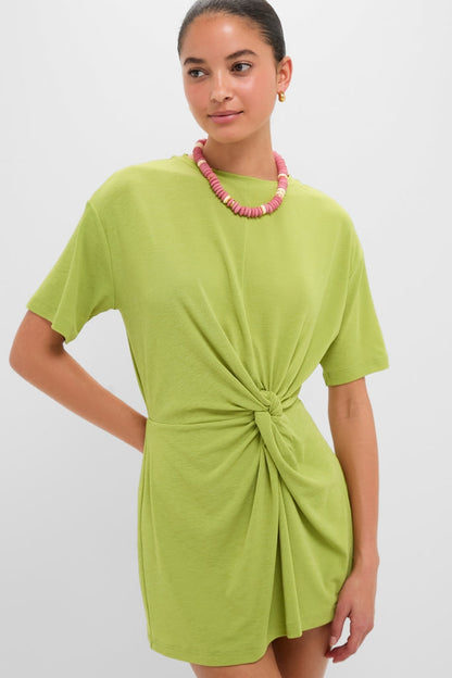 Apple Carrey Mini Dress