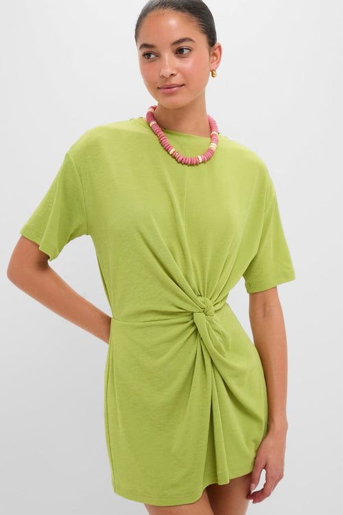 Apple Carrey Mini Dress