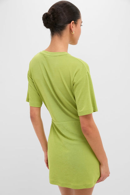 Apple Carrey Mini Dress