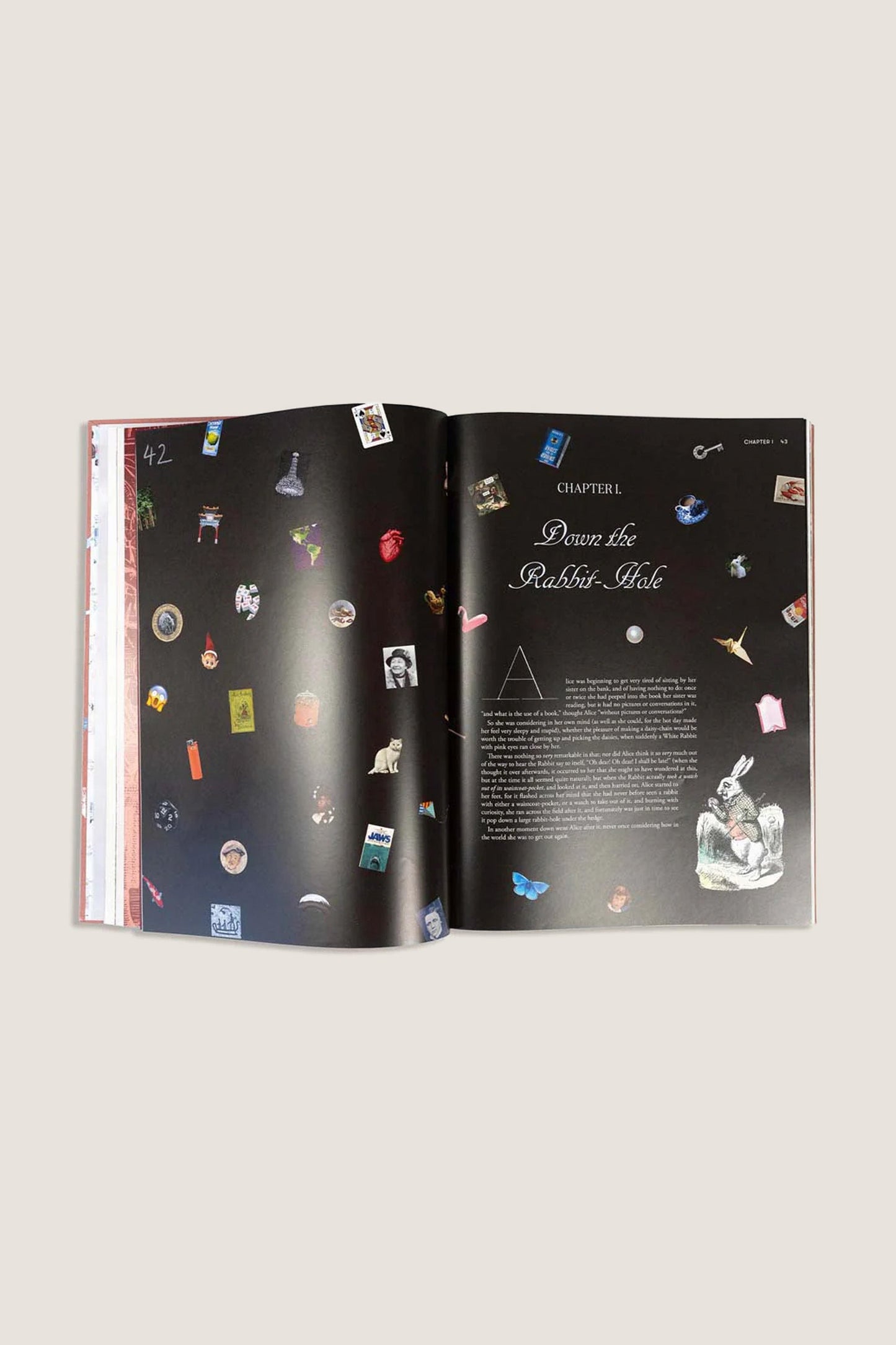 Alice in Wonderland Art Novel