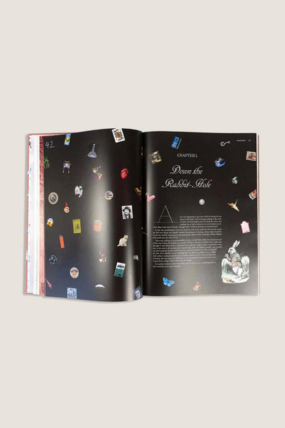 Alice in Wonderland Art Novel