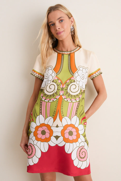 Ambrosia Placee Mini Swing Dress