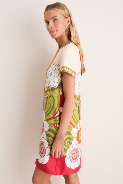 Ambrosia Placee Mini Swing Dress