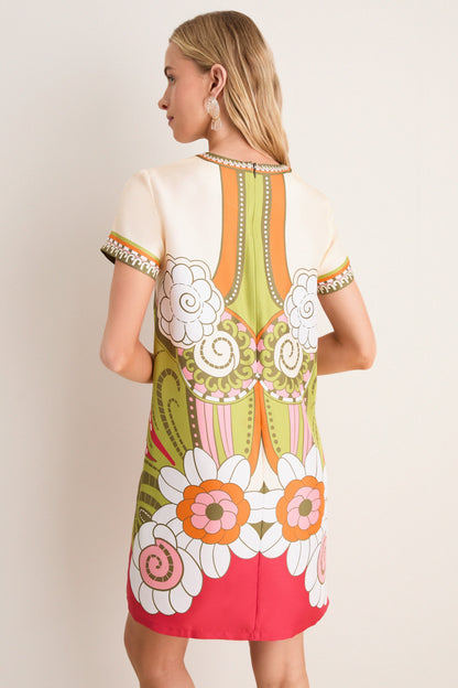 Ambrosia Placee Mini Swing Dress