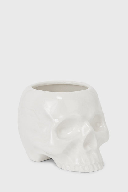 Cranium Planter