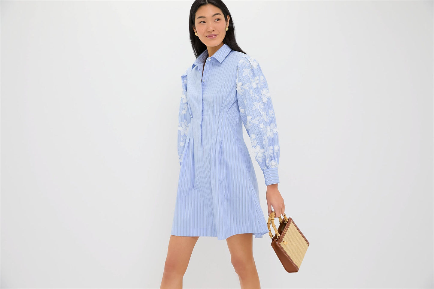 Blue Stripe Embroidery Mini Corinne Dress
