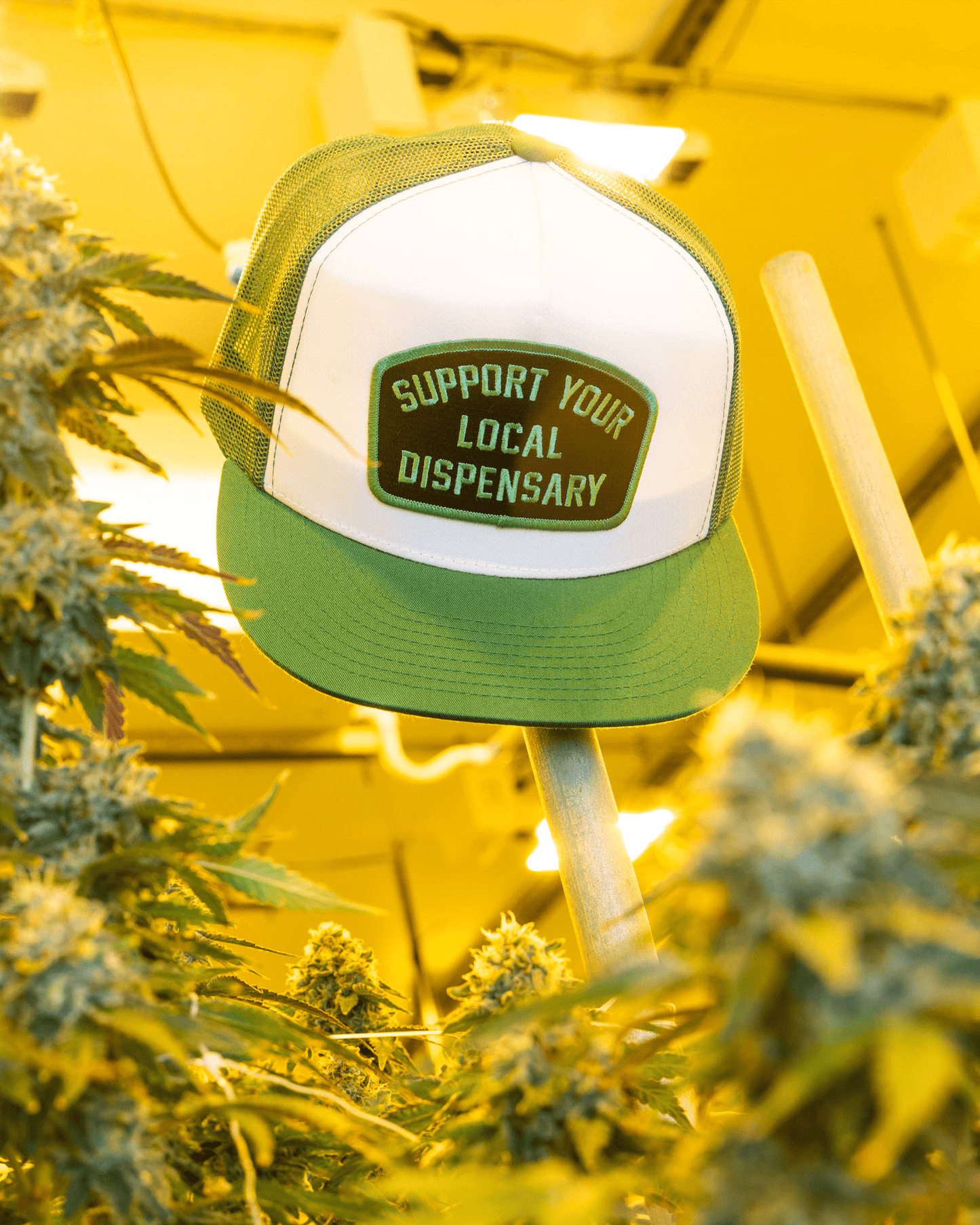 Support Your Local Dispensary Flat Bill Trucker Snapback
